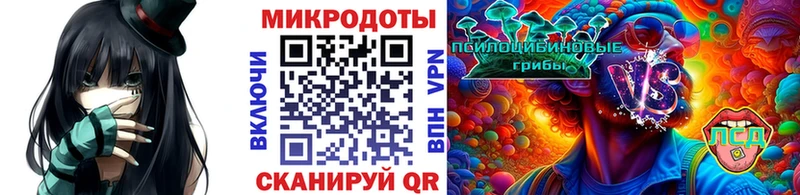 Галлюциногенные грибы мицелий  Онега 